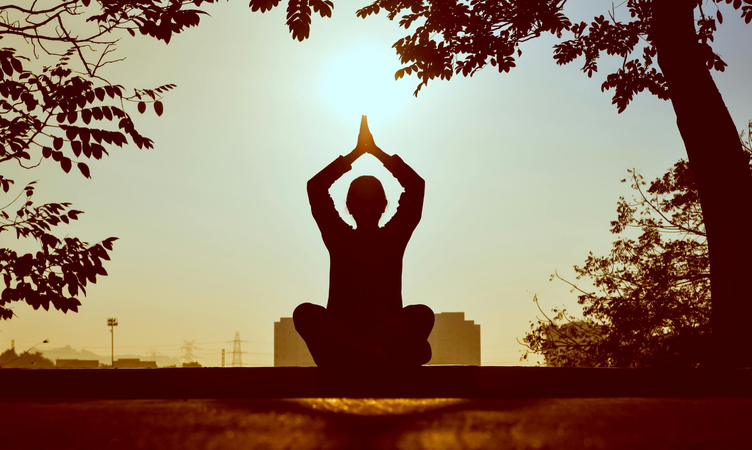 The Importance of Pranayama in Modern Times