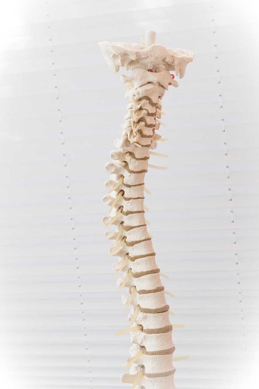 Yogaasana for Postural Back Pain